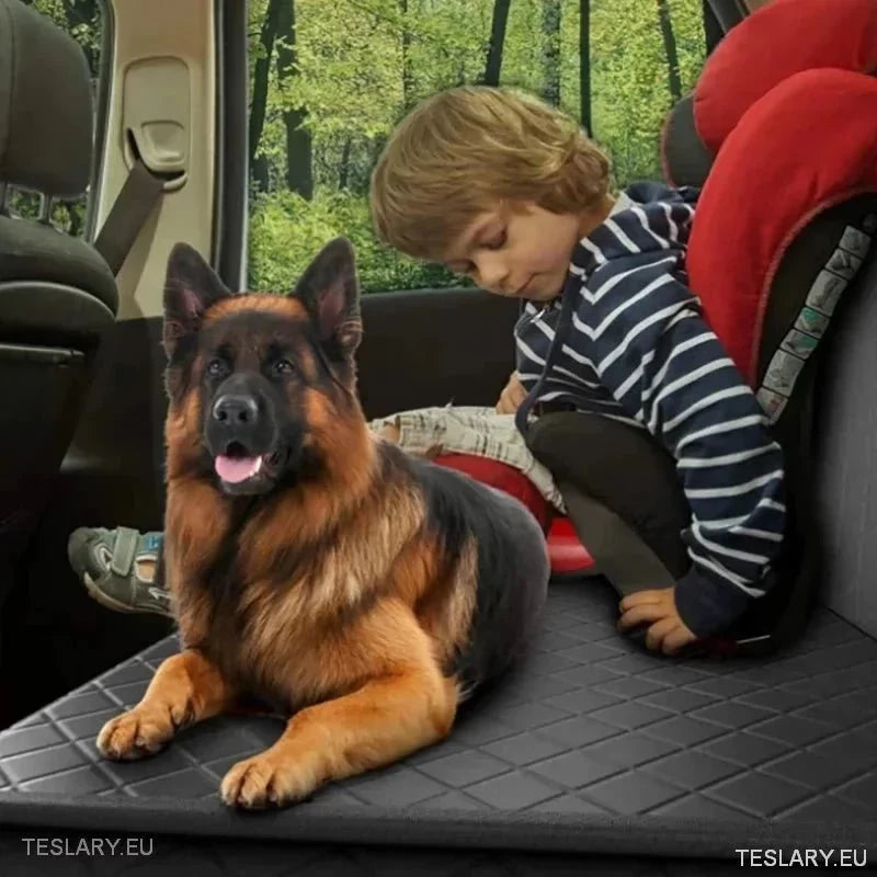 Premium Dog Car Seat Cover for Back Seat Suitable for Tesla 3 , Y & S