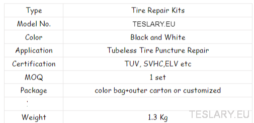 Tyre Puncture Repair Kit with Compressor and Storage Bag - TESLARY Tesla Shop Accessories Europe Nederlands Ireland Deutschland Espana Alicante France Italia