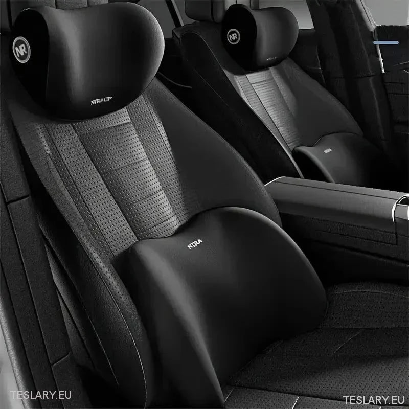 Memory Foam Neck Pillow & Back Support Cushion for All Tesla Models - TESLARY Tesla Shop Accessories Europe Nederlands Ireland Deutschland Espana Alicante France Italia